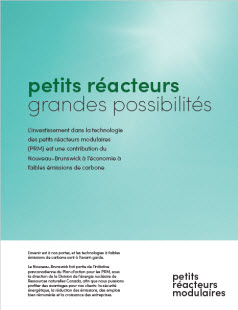Petits Reacteurs Grandes Possibilites